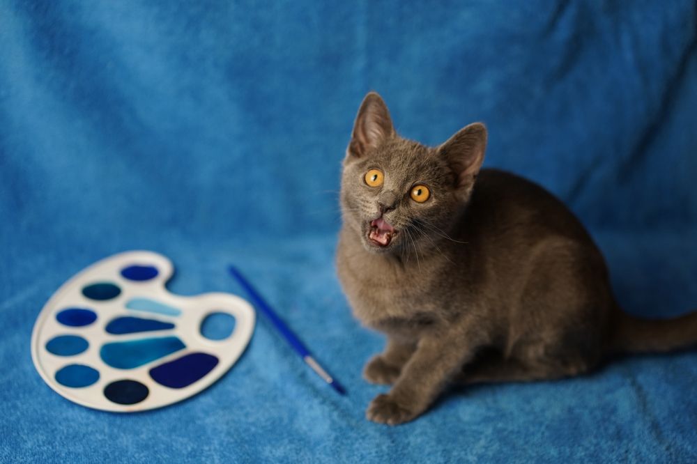 Фотография автора Валерия