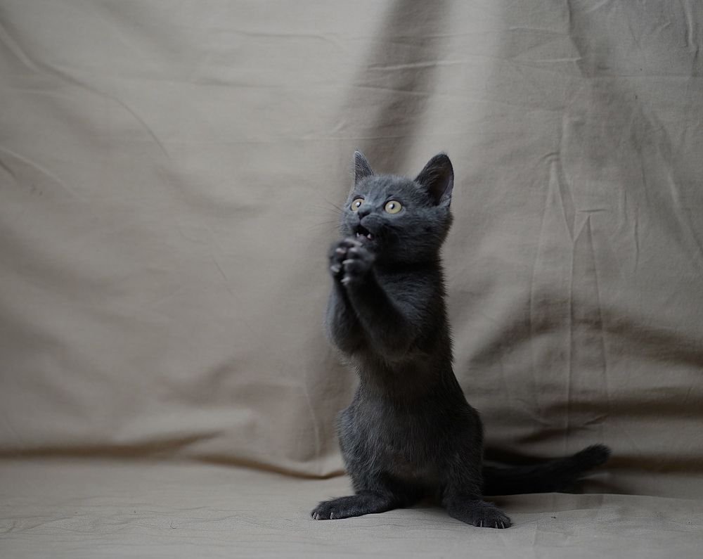 Фотография автора Валерия