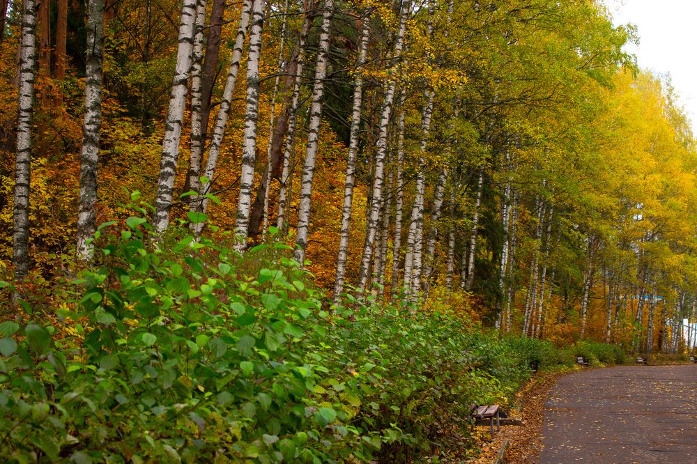 Photograph by Татьяна Смирнова