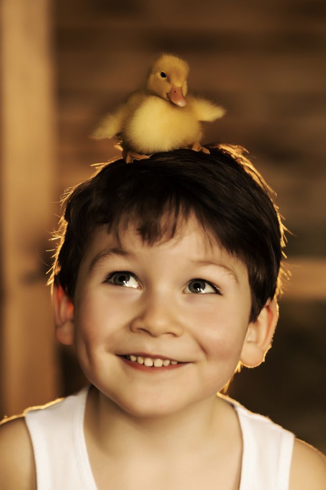 Фотография автора Мария Бородулина