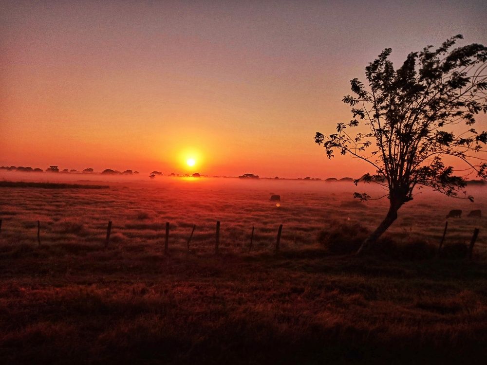 Photograph by Adelaida Frias Hernández