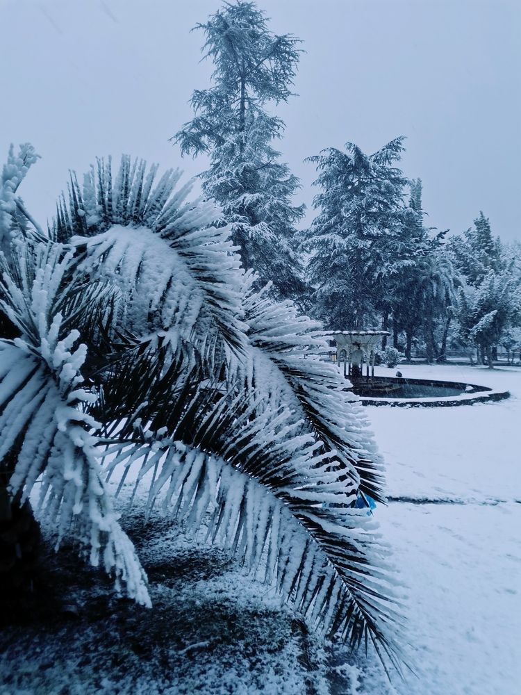 Photograph by Consuelo Sand