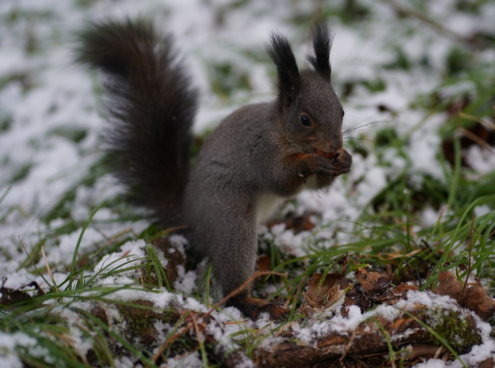 Фотография автора Валерия