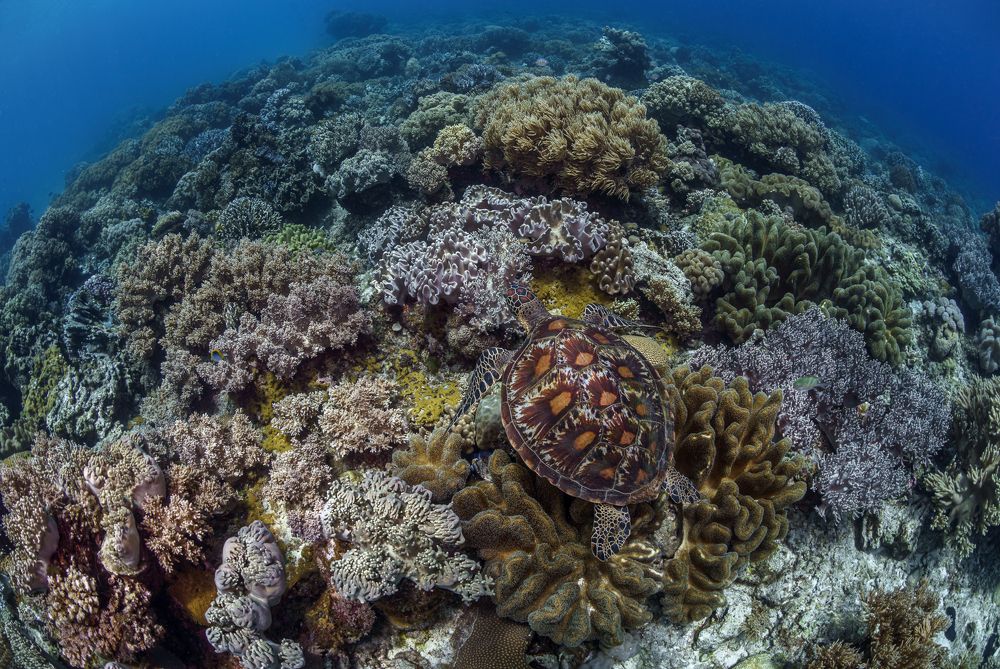 Photograph by Савин Андрей