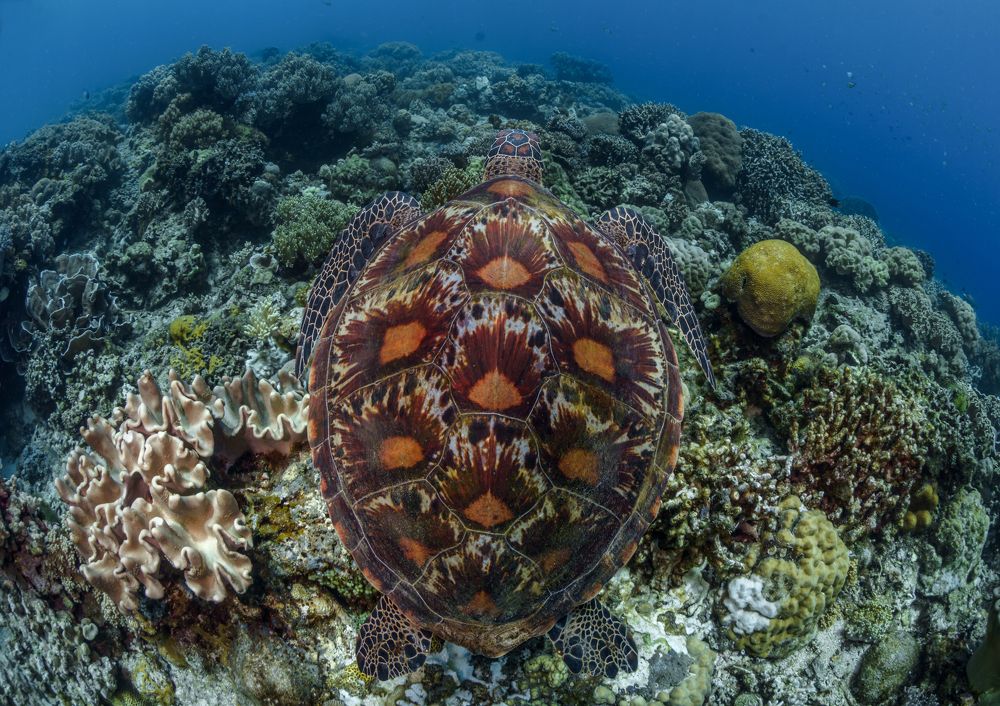 Photograph by Савин Андрей