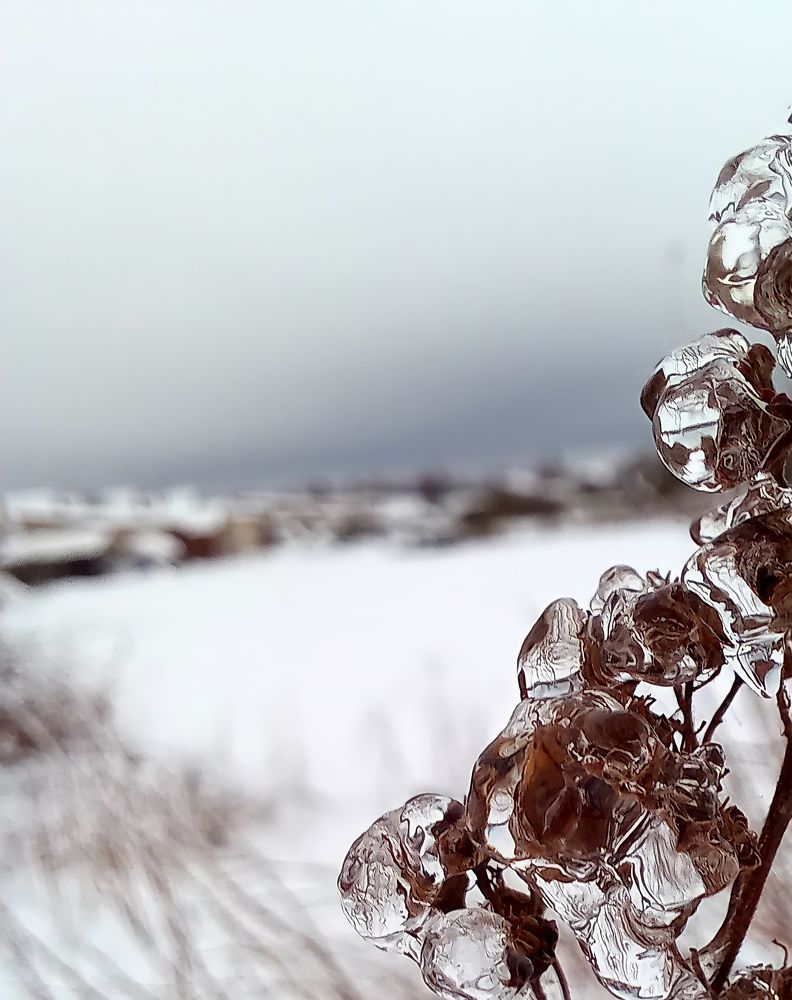 Photograph by Вероника Яшина