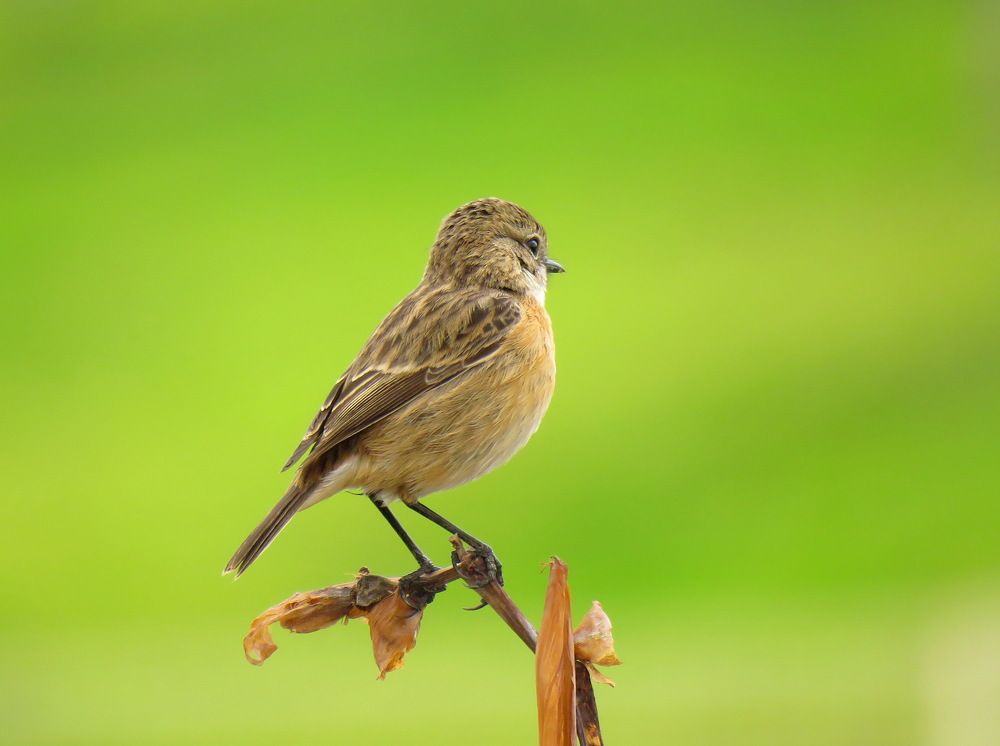 Photograph by Klara Leonenko