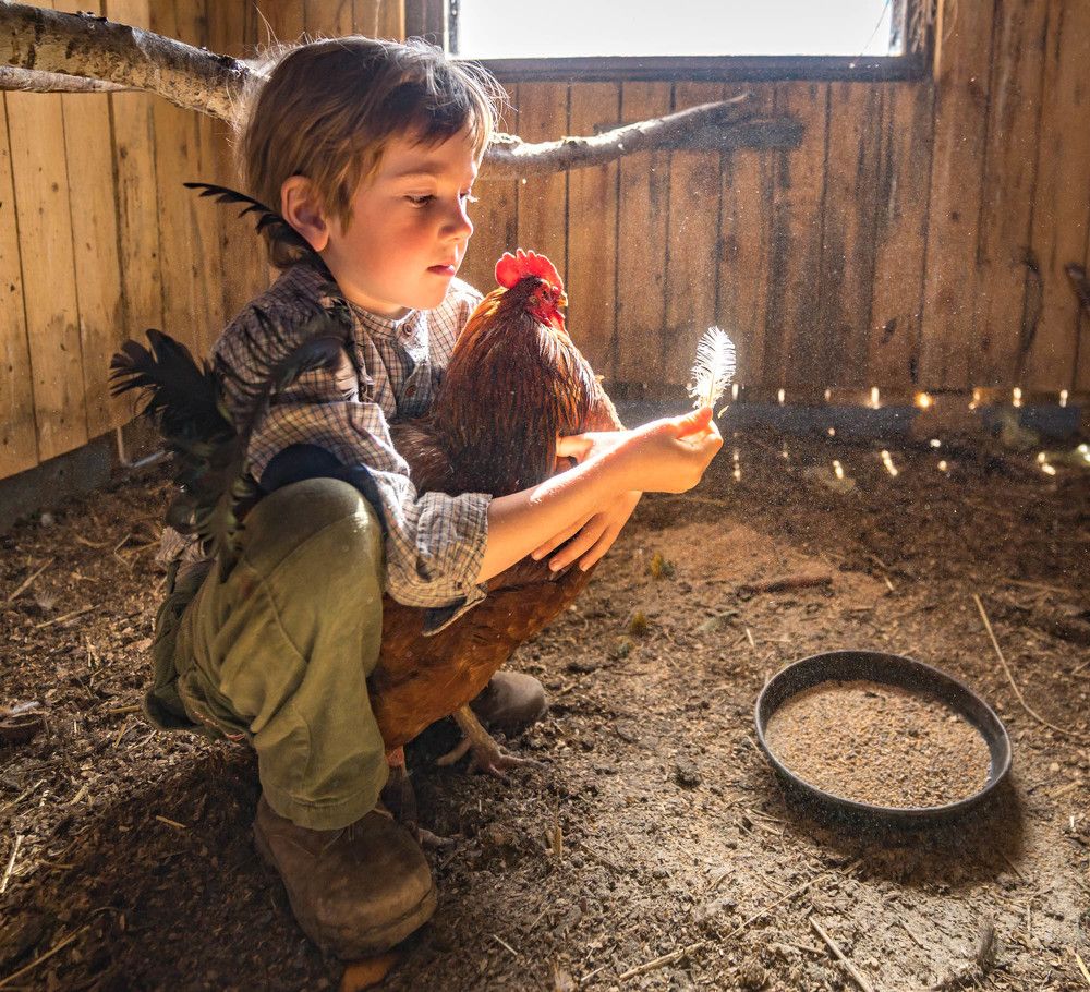 Photograph by Светлана Корнелюк