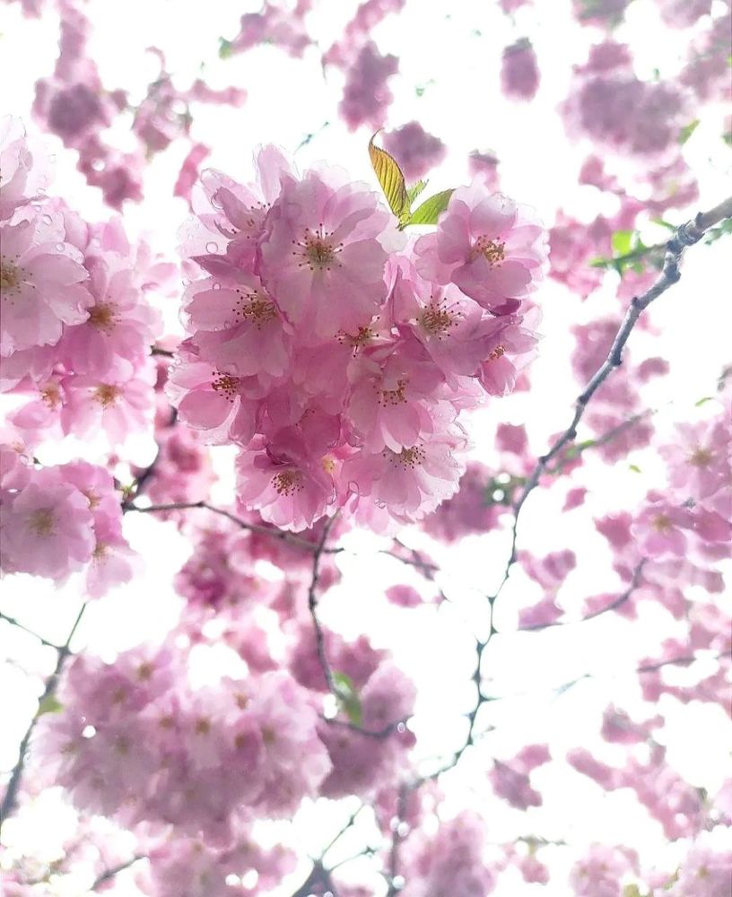 Photograph by Марина Хохрякова