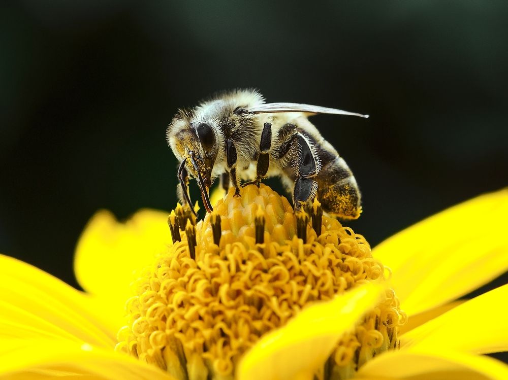 Photograph by Kveta Novotna