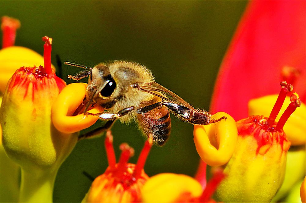 Photograph by John Wassenaar