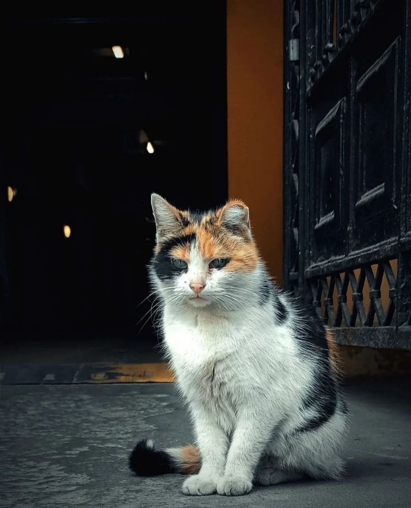 Photograph by Марина Хохрякова