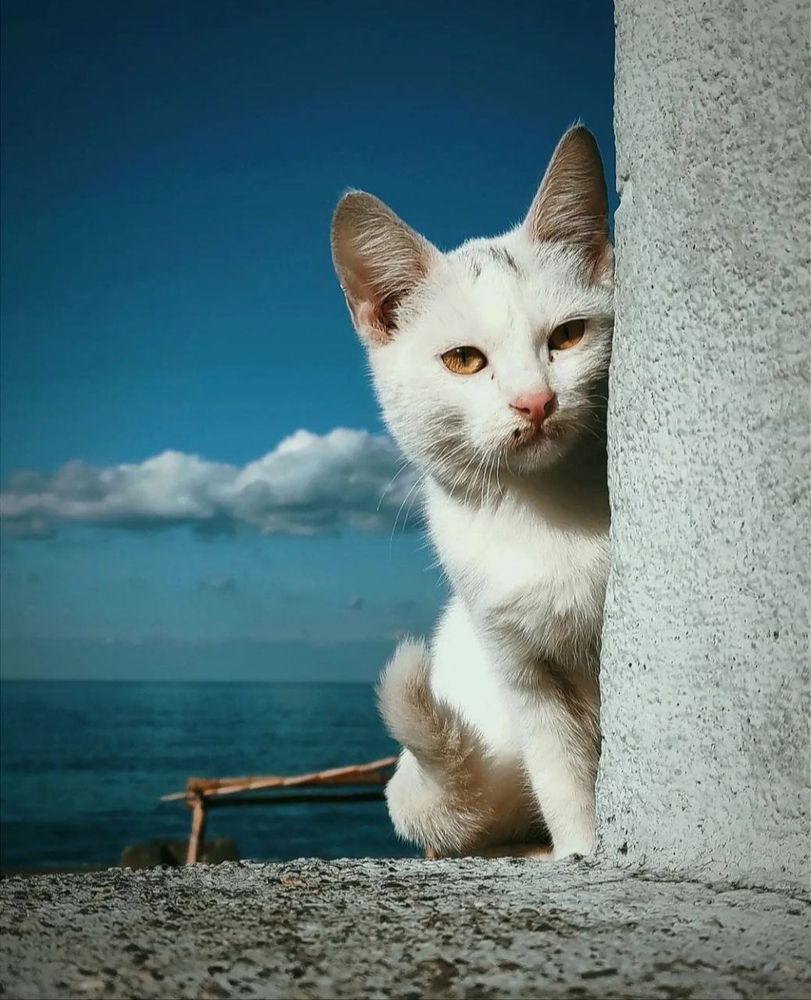 Photograph by Марина Хохрякова