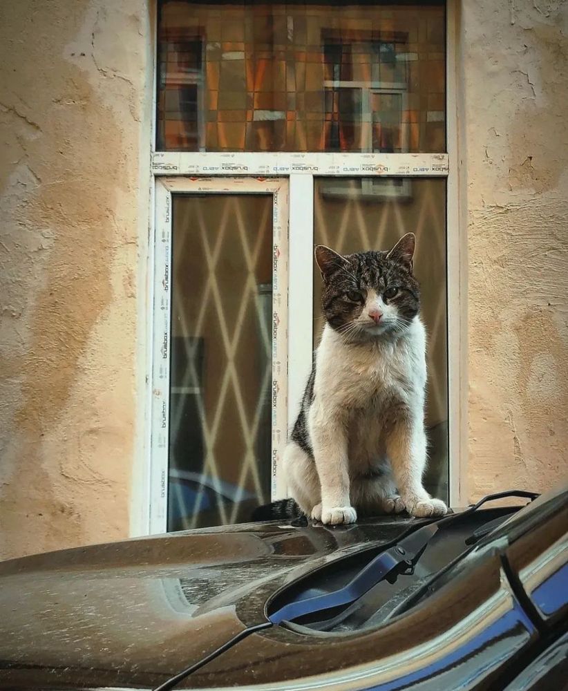 Photograph by Марина Хохрякова