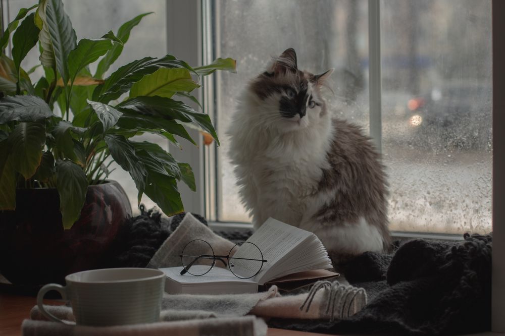 Photograph by Mila Milyutina