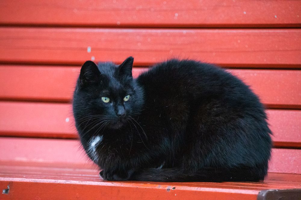 Photograph by Дима Захаров