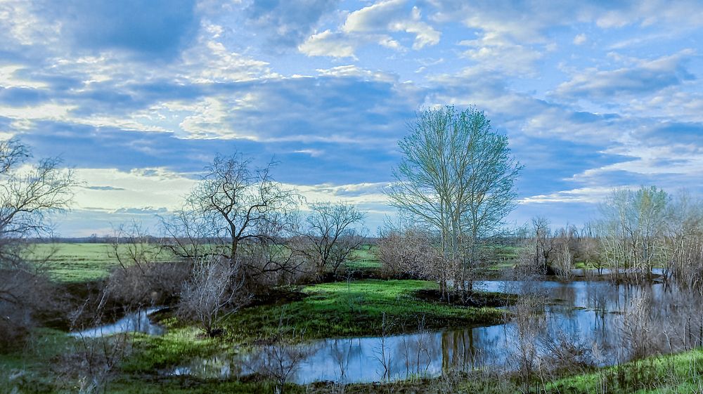 Photograph by Николай Михалев