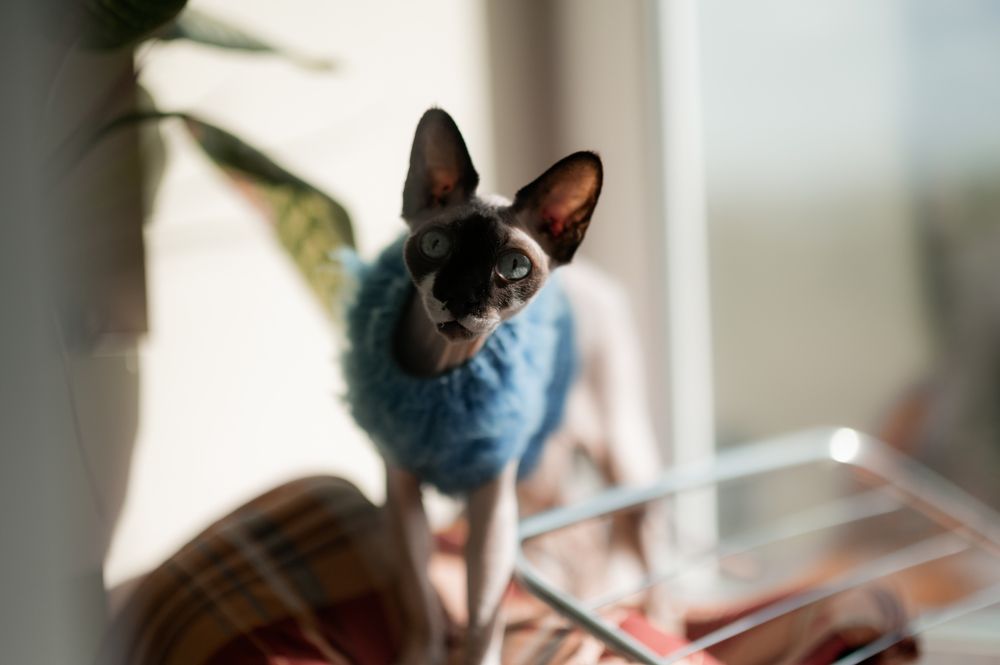 Photograph by Евгения Амелина