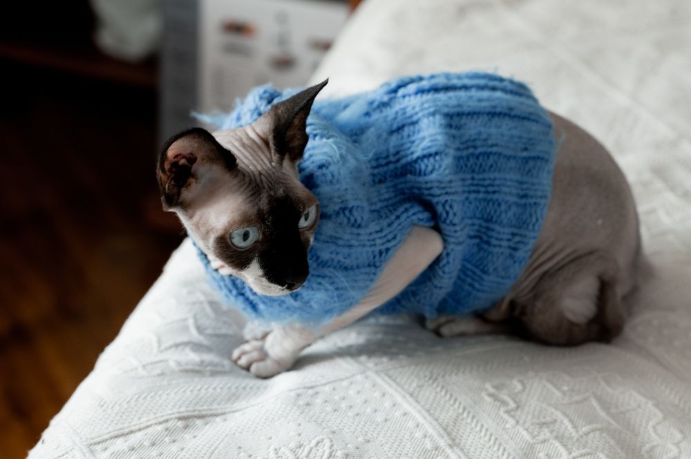 Photograph by Евгения Амелина