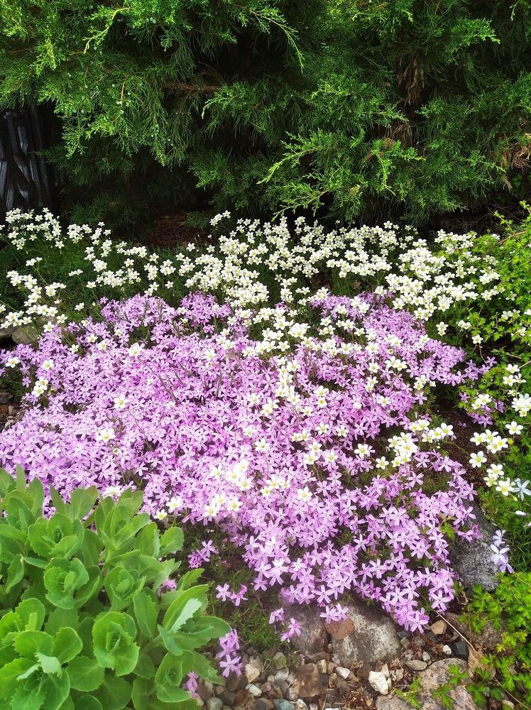 Photograph by Анна Виноградова