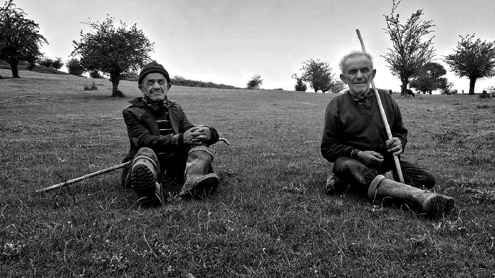 Photograph by Mohammad Ali Ataei Daryaei