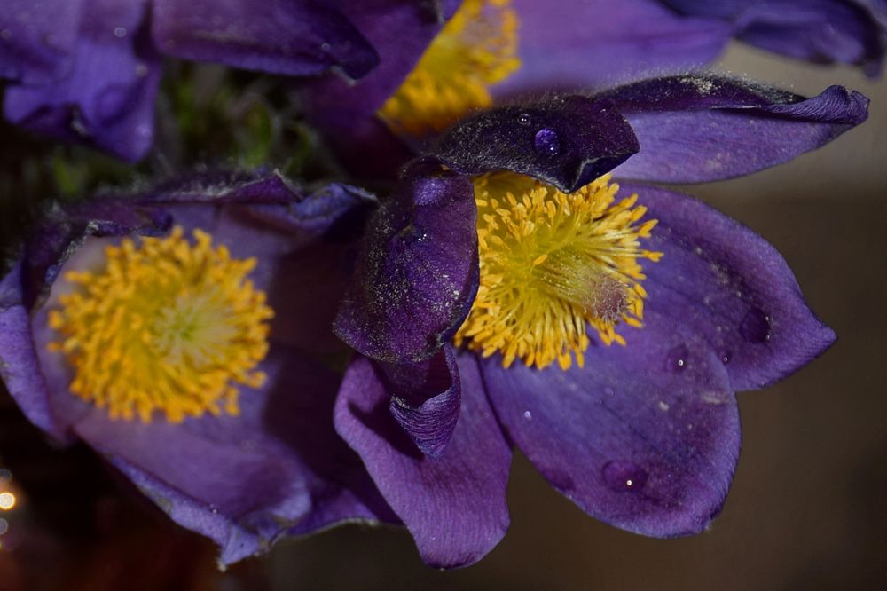 Photograph by  Татьяна Дорожко