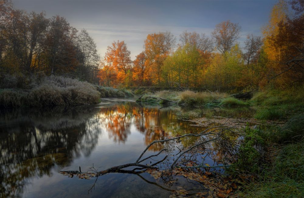 Октябрьская зарисовка