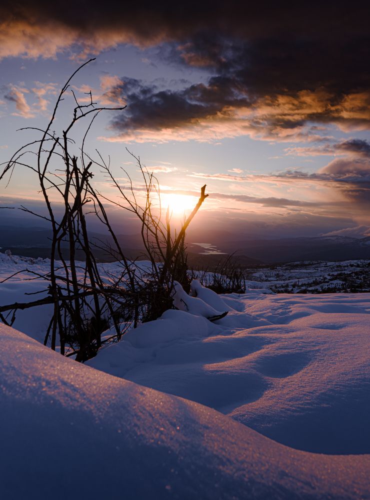 Photograph by Samir Meftah