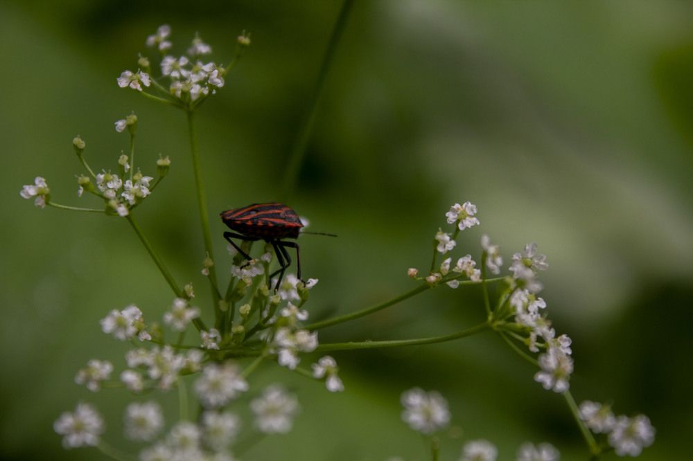 Photograph by Дарья