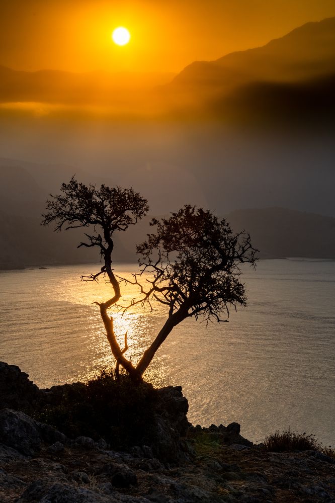 Photograph by Пётр Воронов