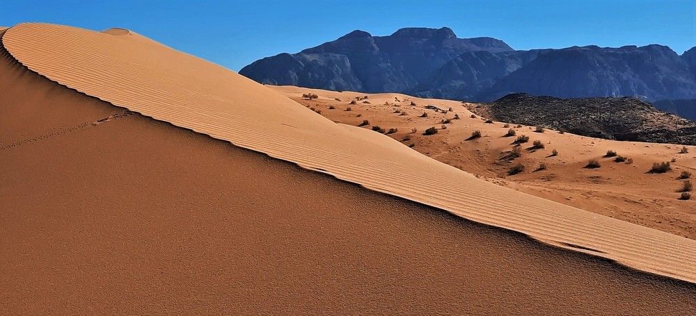 Photograph by Ramzi Nari