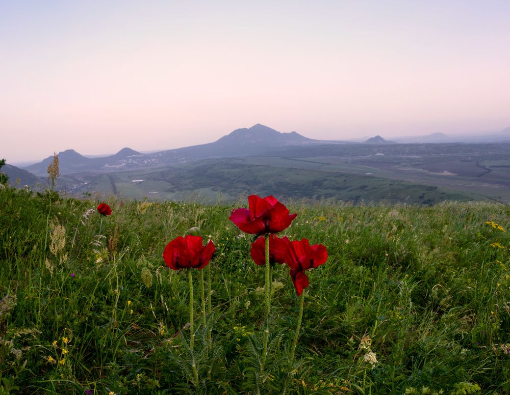 Photograph by Александра Ларинцева