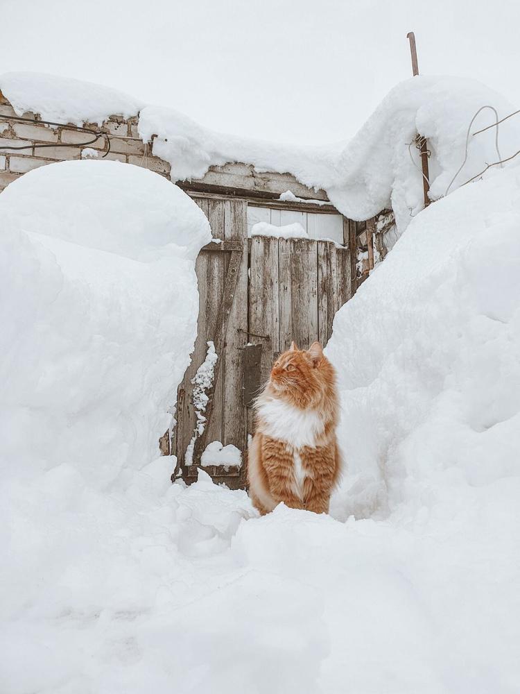 Photograph by Екатерина Верясова