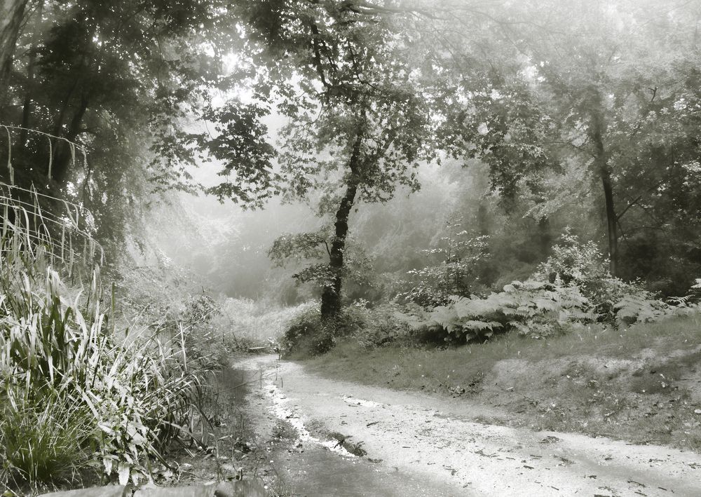 Photograph by Gouzel Liddle