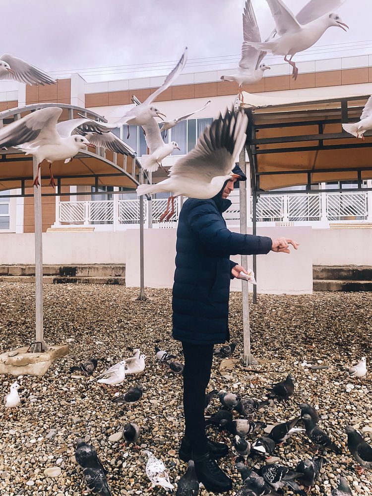 Photograph by Наталья Чертищева