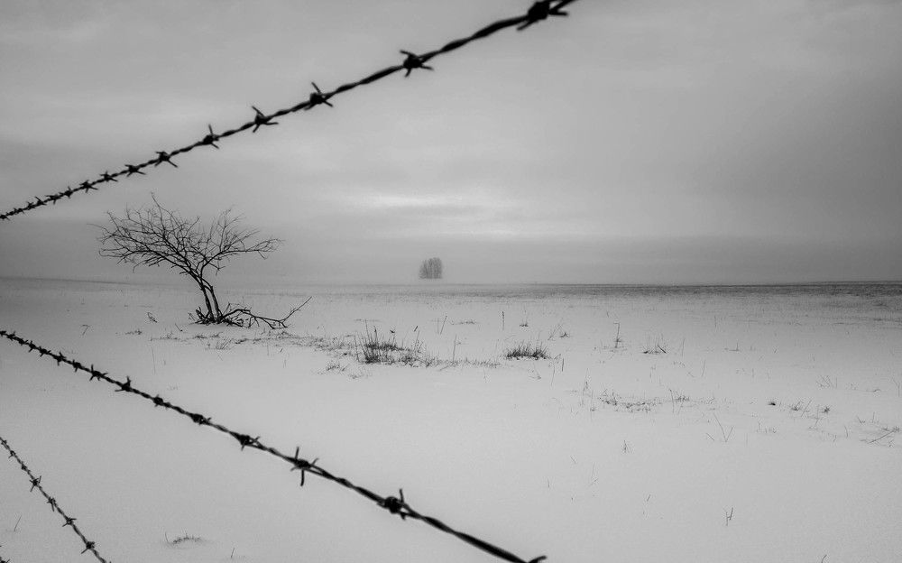 Photograph by Сильва Татьяна