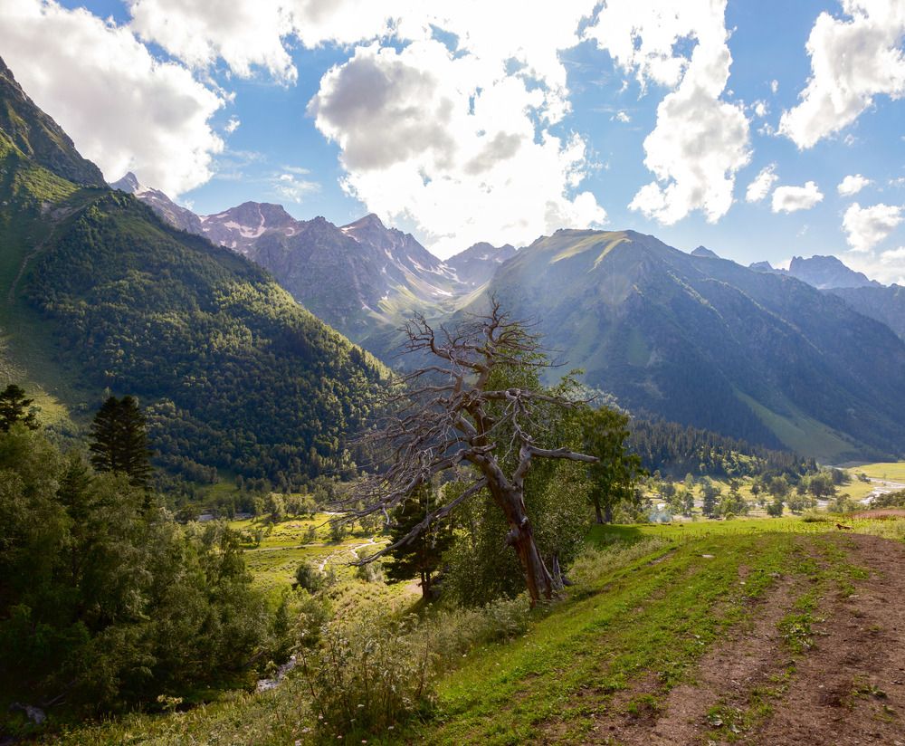 Photograph by Александра Ларинцева