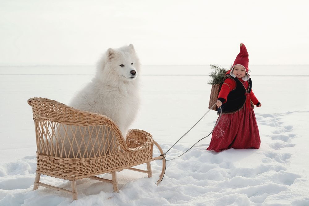 Photograph by Екатерина Пугач