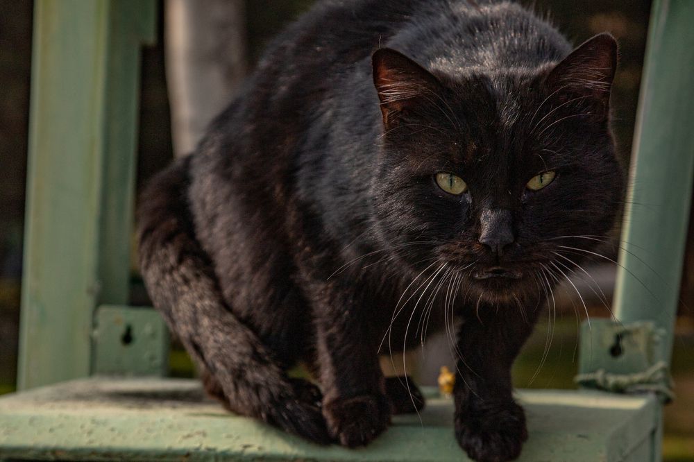 Photograph by Евдокия Камагина