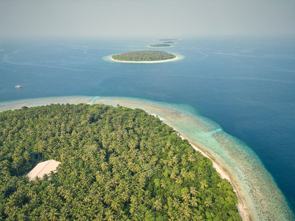 Фотография автора Evgeny Gorbunov