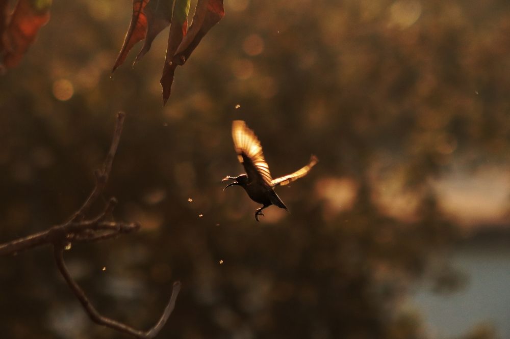 Photograph by Ekra Tasfia