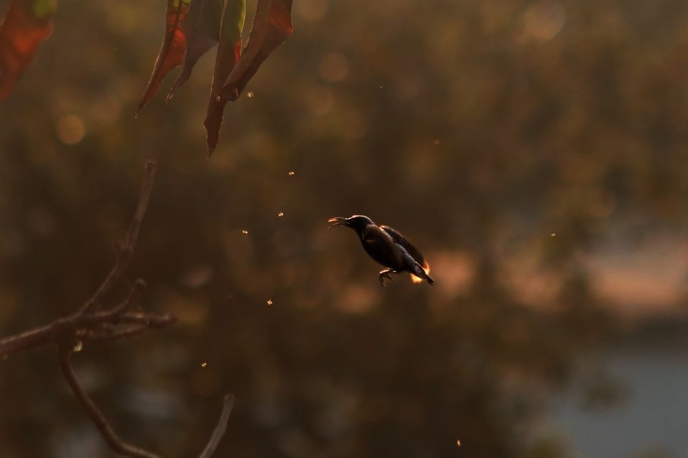 Photograph by Ekra Tasfia