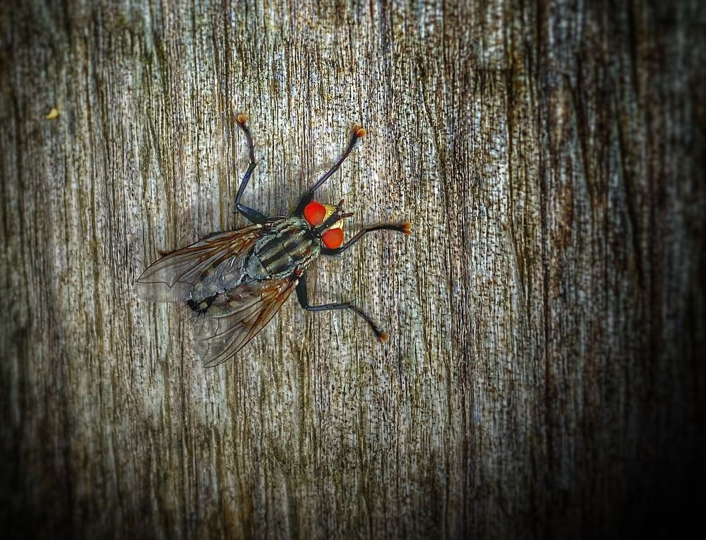 Photograph by Evgenia Privalova