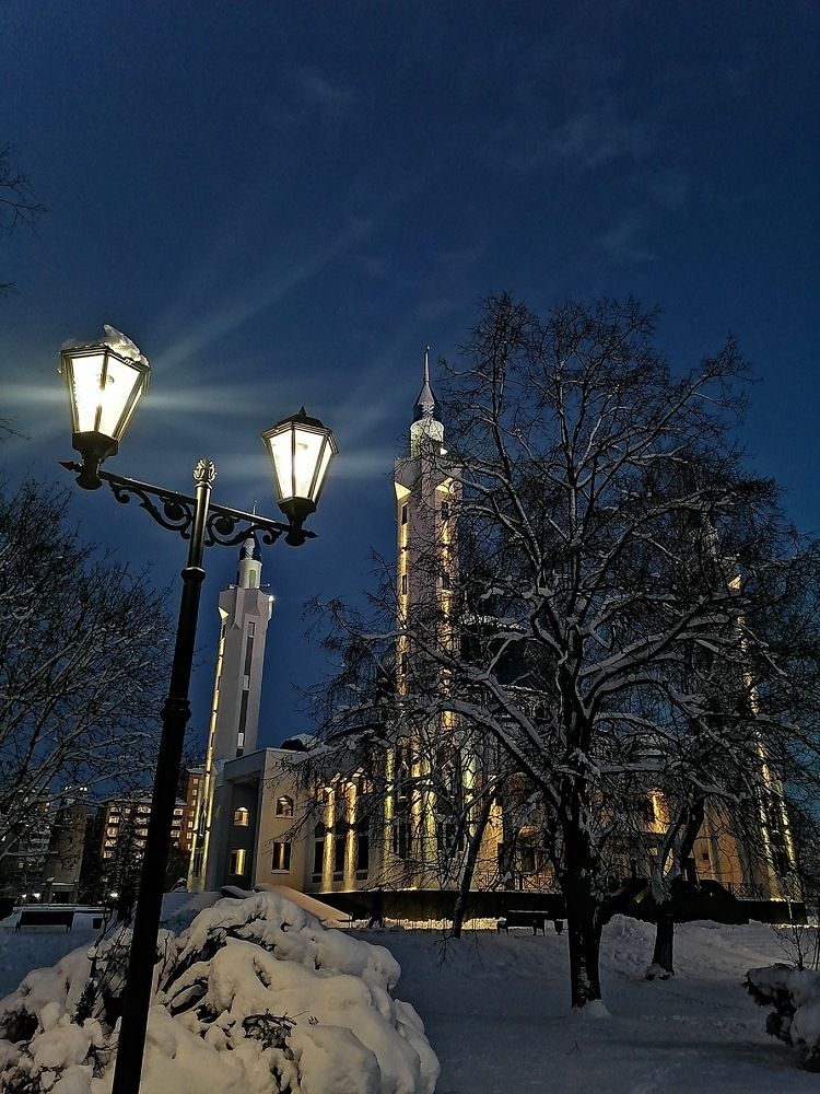 Photo #8855453