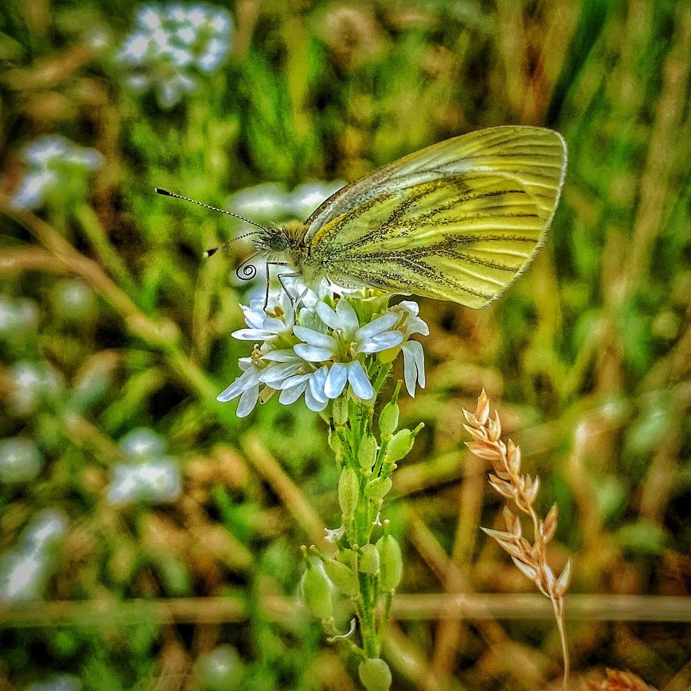 Photograph by Evgenia Privalova