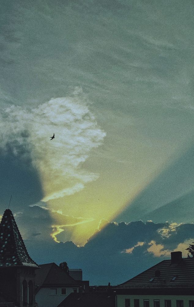 Photograph by Valeriya Soboleva