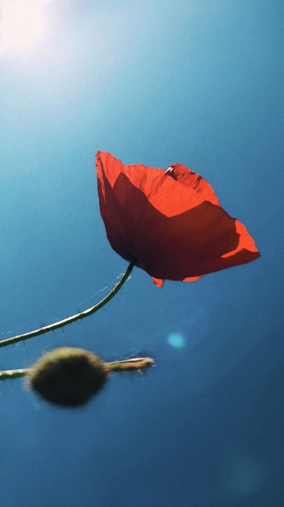 Photograph by Valeriya Soboleva