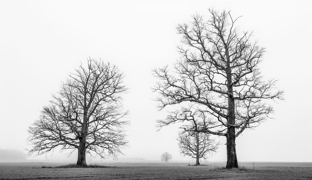 Фотография автора Александр Буренко
