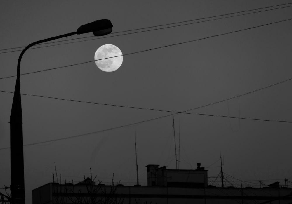Photograph by Константин Шулика
