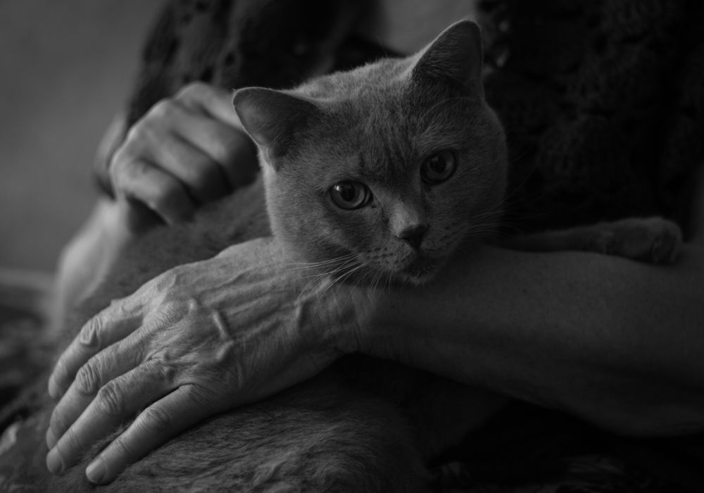 Photograph by Дарья Околова